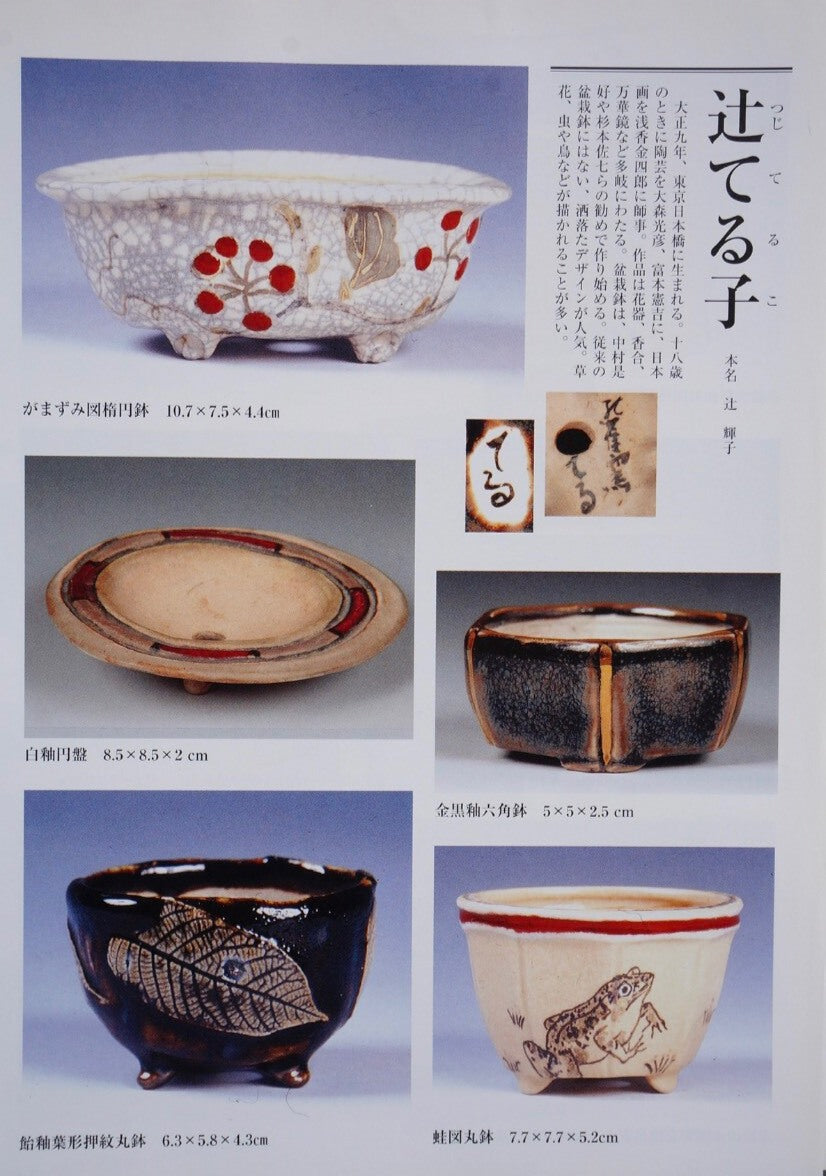 Classic Form Japanese Bonsai Pot by Tsujihikko