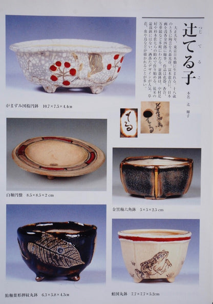 Classic Form Japanese Bonsai Pot by Tsujihikko