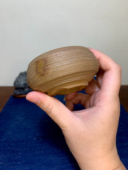 Ito Tuniyo Hand-Pinched Relief-Carved Frog Pot