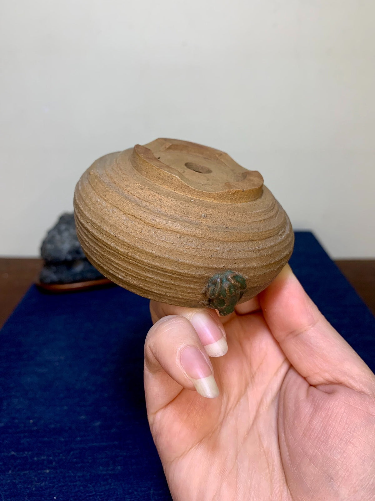 Ito Tuniyo Hand-Pinched Relief-Carved Frog Pot