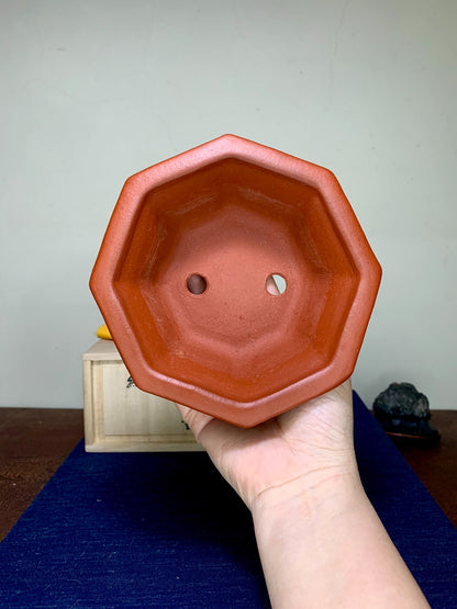 壹兴 Shudei Red Clay Octagonal Pot