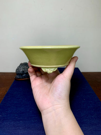 Ikkō Classic Yellow Kinyo Glaze Cloud Feet Open-Mouth Japanese Pot