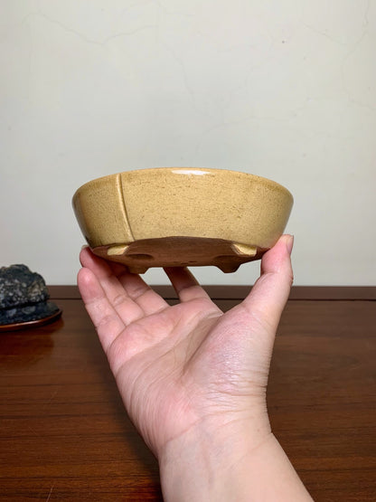 Harukaze Seisho Oval Pot