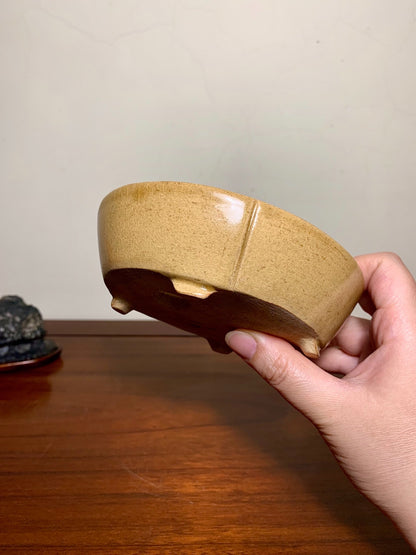 Harukaze Seisho Oval Pot