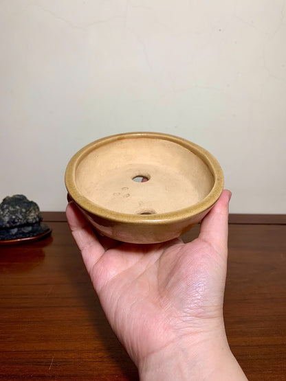 Harukaze Seisho Oval Pot