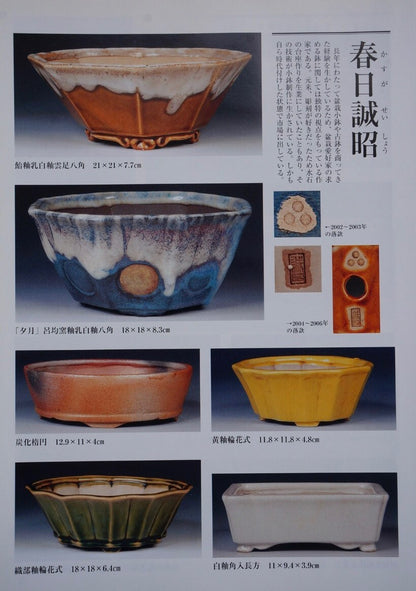 Harukaze Seisho Oval Pot