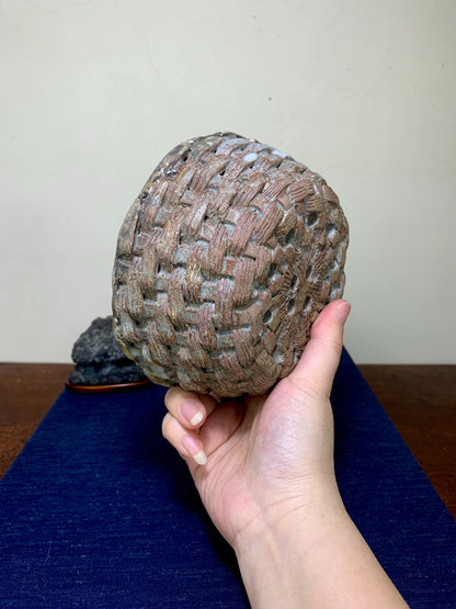 Woven Basket Pot