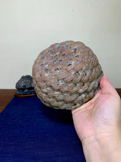 Woven Basket Pot