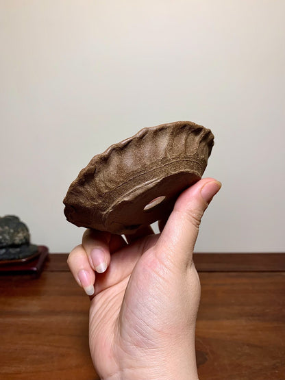 A hand holds a small, brown, unglazed ceramic pot with a fluted rim and a central hole.