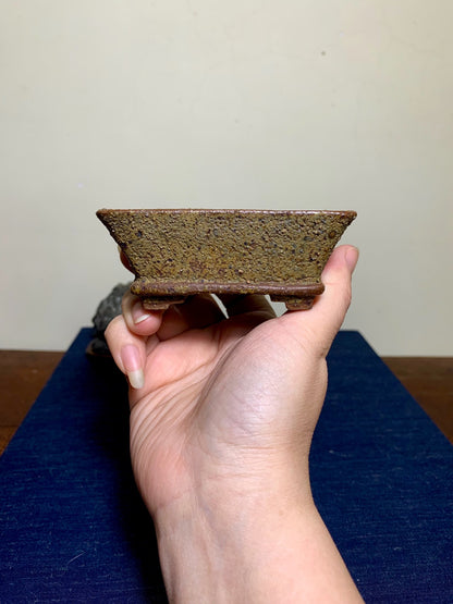 Imaoka Chōsō Pear-Skin Glaze Lower Band Cut-Foot Small Rectangular Japanese Pot