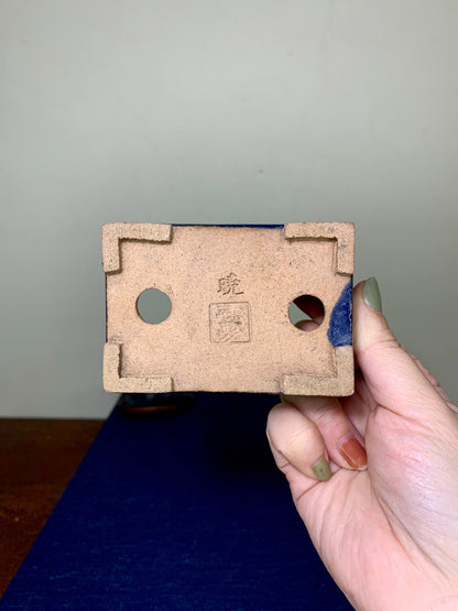 Ruri Blue Glaze Cut-Foot Rectangular Japanese Pot by Arai Akumu