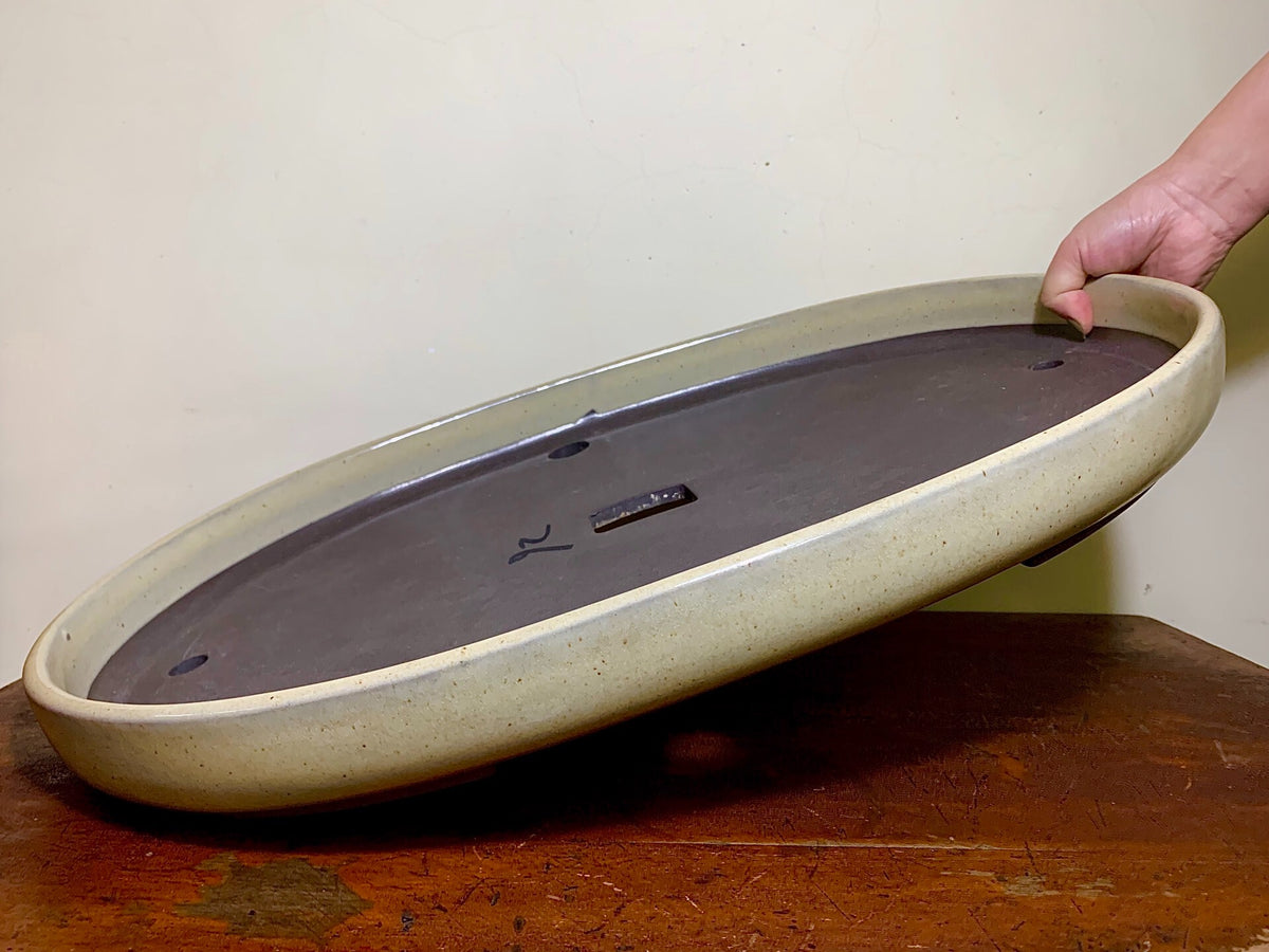 Oval ceramic bonsai tray with matte grey interior and speckled beige rim, held by a hand.