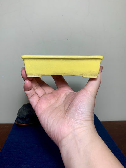 Yellow Glaze Outer Rim Rectangular Japanese Pot by Arai Akumu