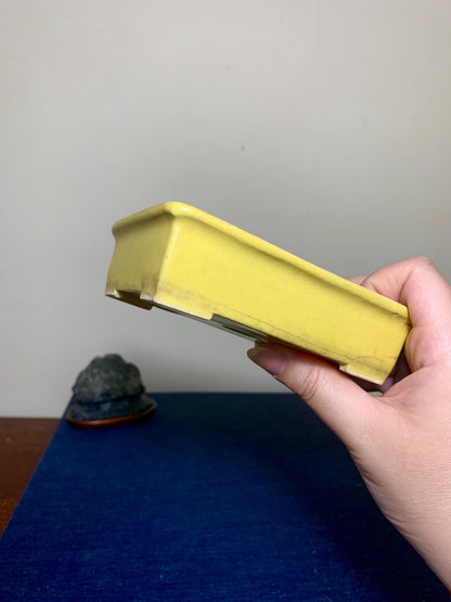 Yellow Glaze Outer Rim Rectangular Japanese Pot by Arai Akumu