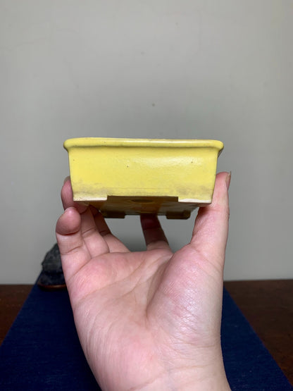 Yellow Glaze Outer Rim Rectangular Japanese Pot by Arai Akumu