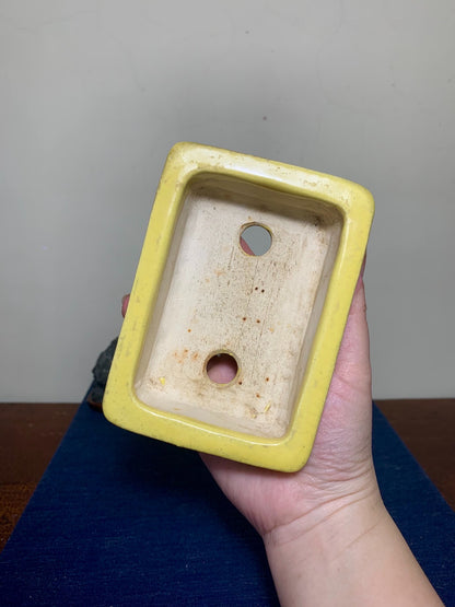 Yellow Glaze Outer Rim Rectangular Japanese Pot by Arai Akumu