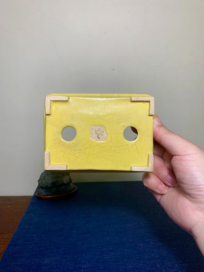 Yellow Glaze Outer Rim Rectangular Japanese Pot by Arai Akumu