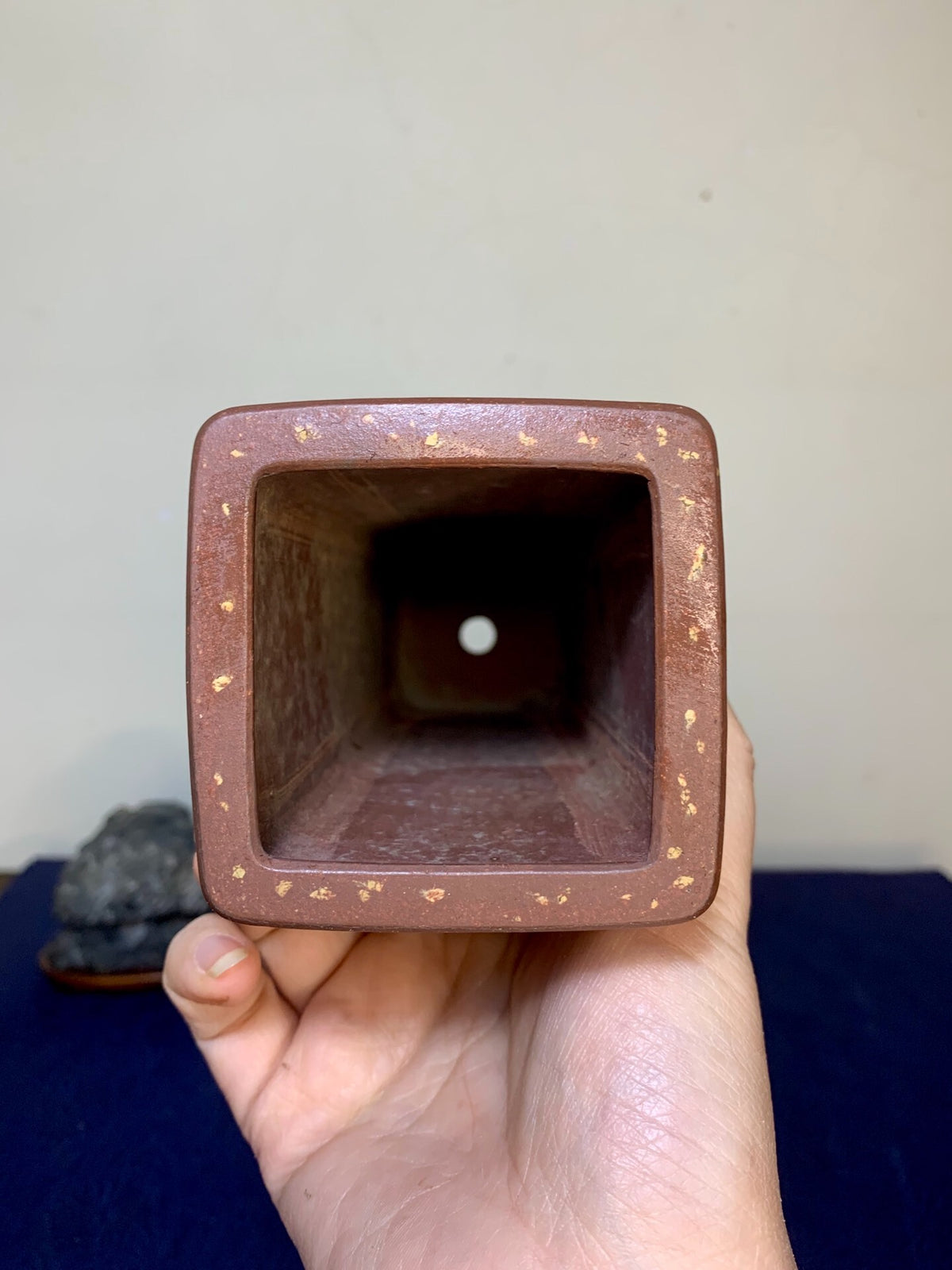 Wenge Pot