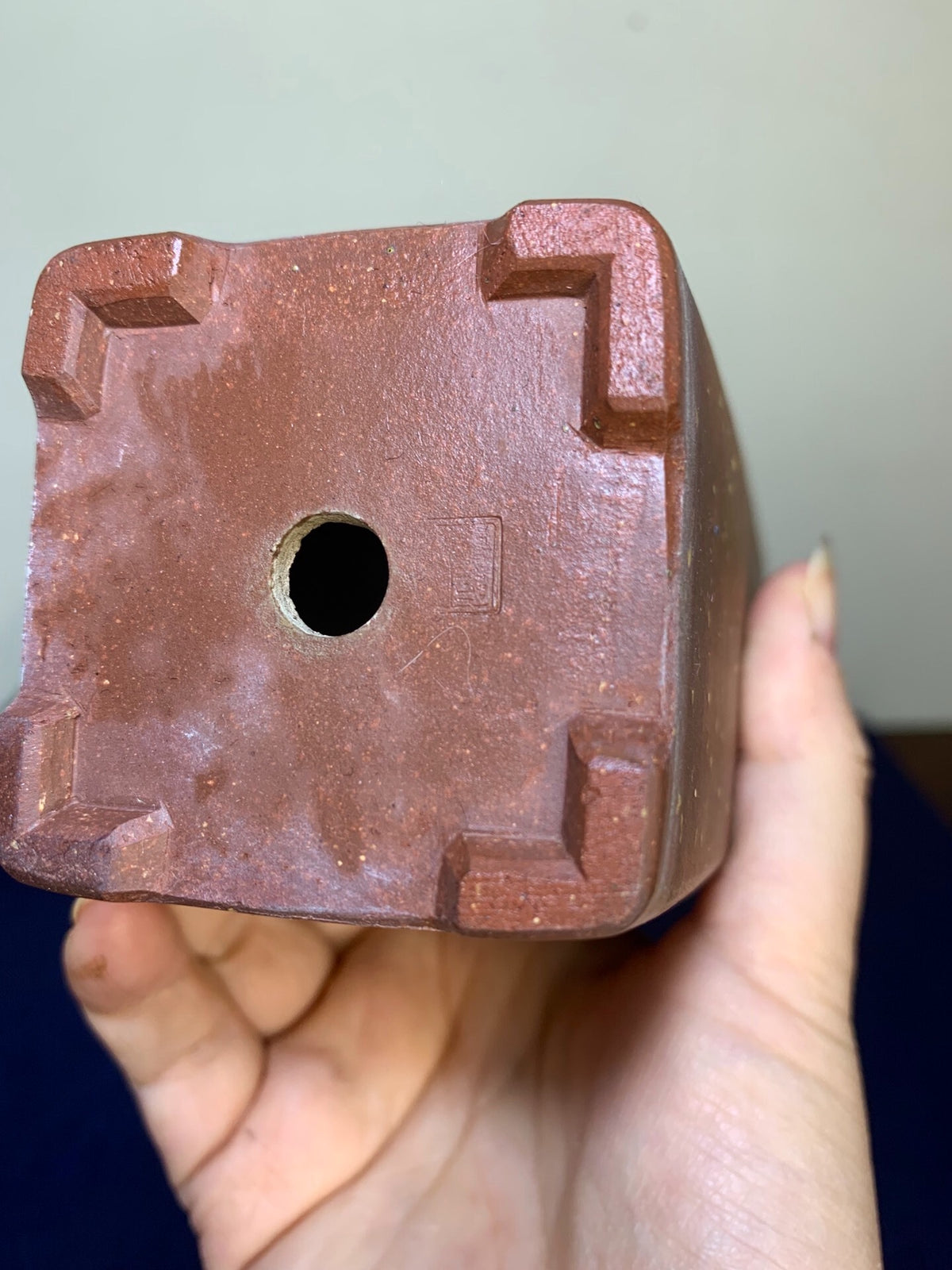 Wenge Pot
