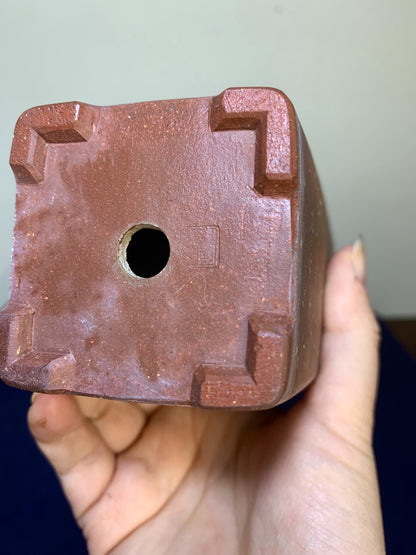 Wenge Pot
