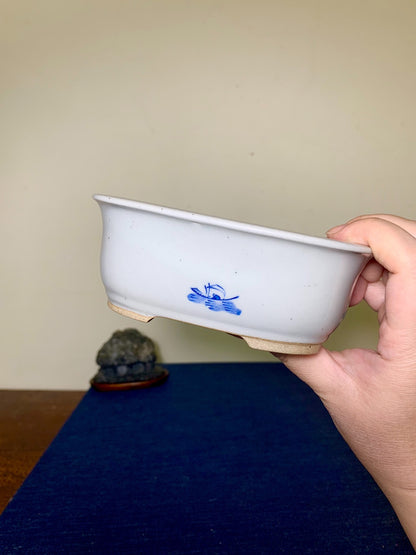 Tōsen, Landscape-Themed Rectangular Japanese Bonsai Pot by Marutou