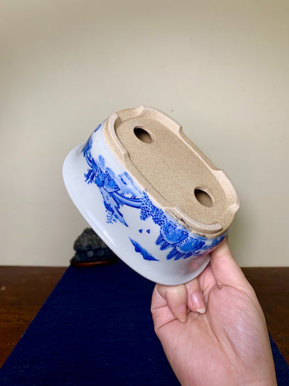 Tōsen, Landscape-Themed Rectangular Japanese Bonsai Pot by Marutou