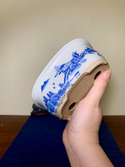 Tōsen, Landscape-Themed Rectangular Japanese Bonsai Pot by Marutou