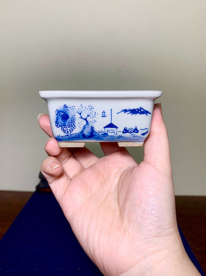 Tōsen, Small Rectangular Japanese Bonsai Pot, Landscape Motif by Marutou