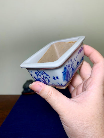 Tōsen, Small Rectangular Japanese Bonsai Pot, Landscape Motif by Marutou