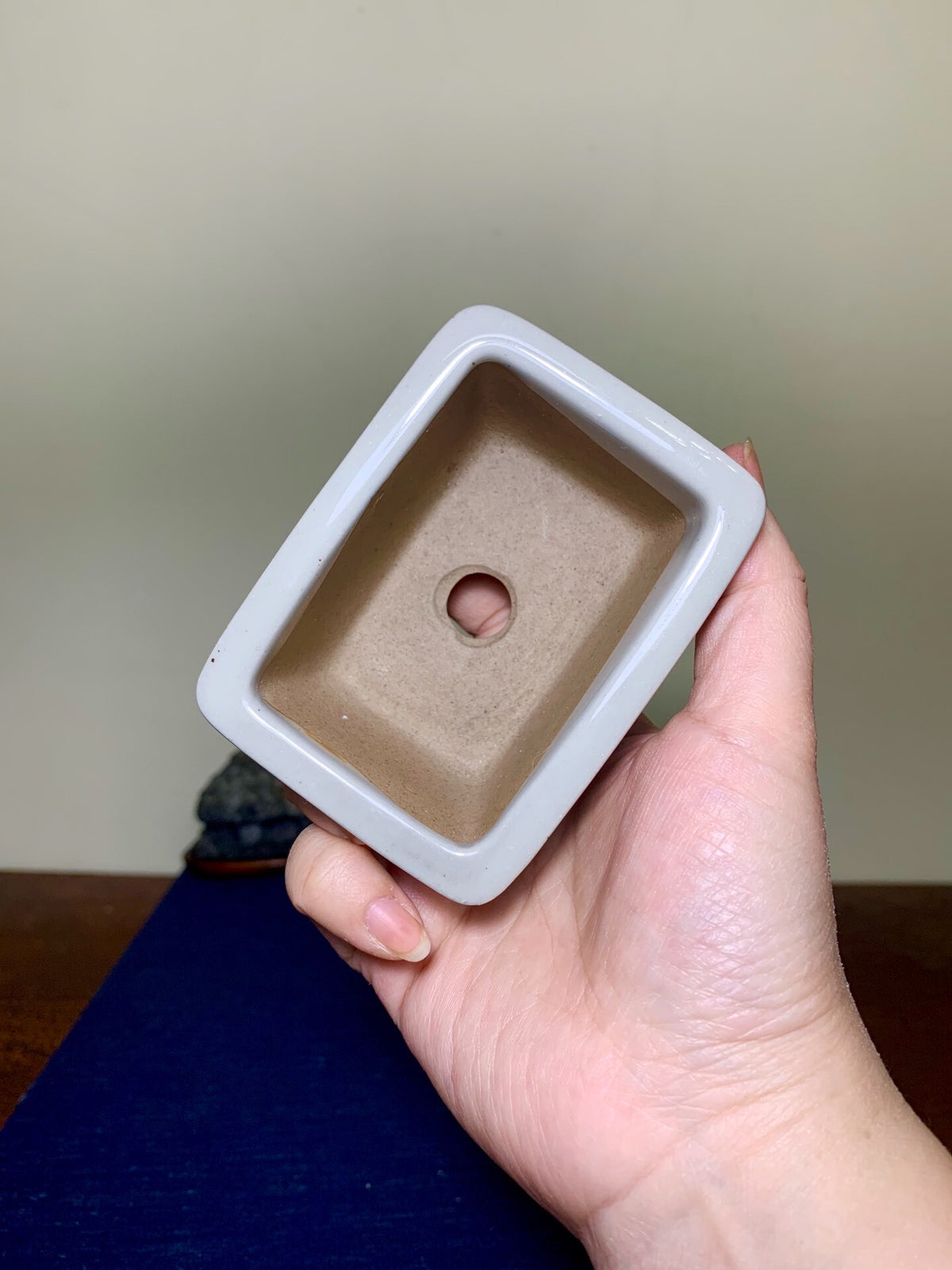 Tōsen, Small Rectangular Japanese Bonsai Pot, Landscape Motif by Marutou