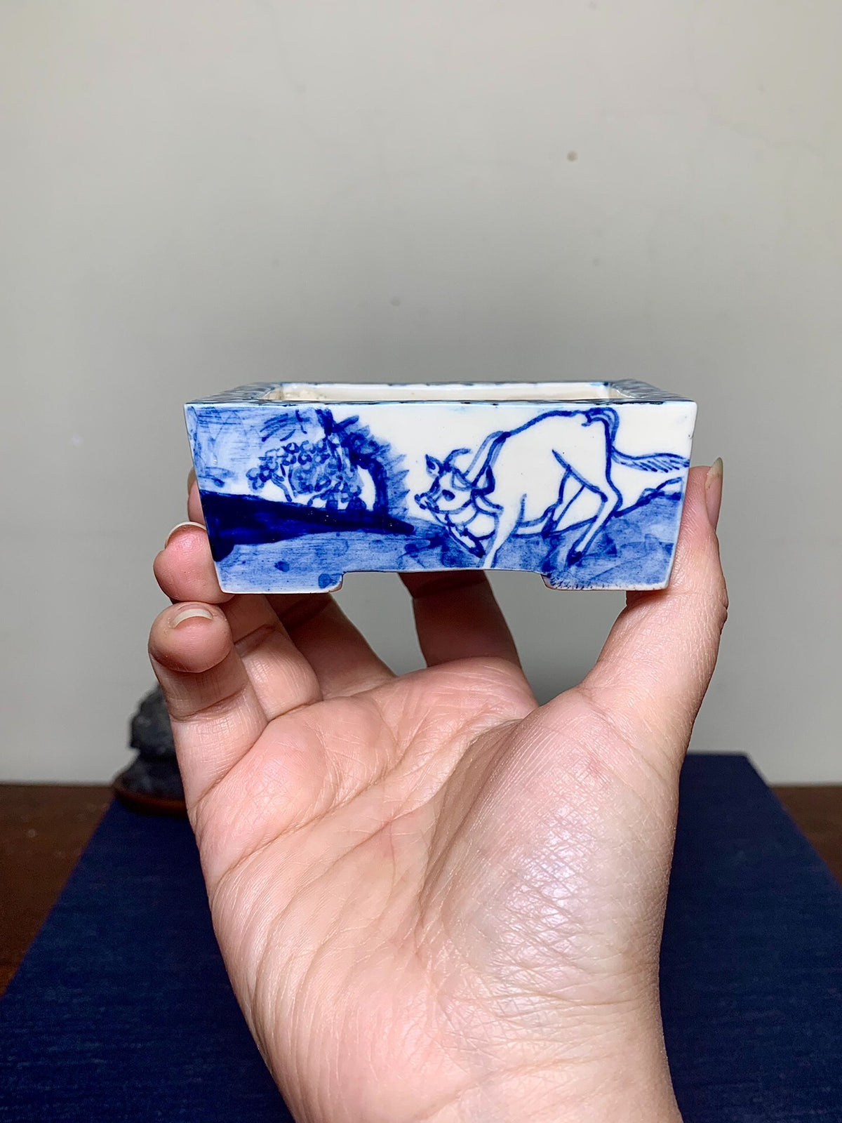 A hand holds a small white rectangular pot with blue painted horse and tree design.