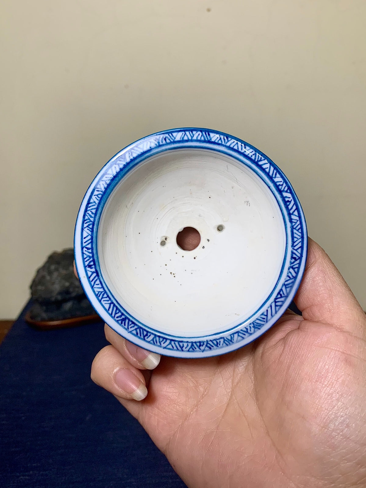 Shodai Shōseki, Blue-And-White Painted with Cicada, Flared Rim, Round Pot