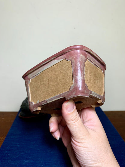 Hanazaki Toshuho Four-Sided Incised Outer Rim Rectangular Japanese Pot