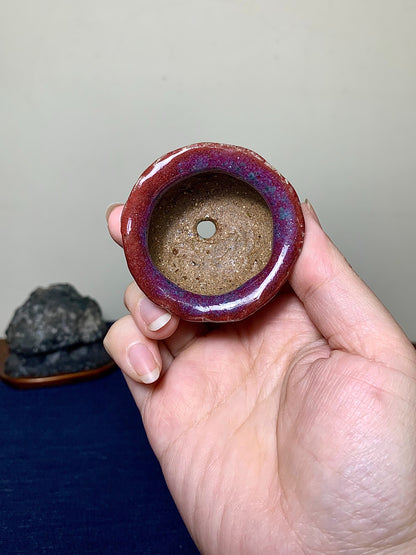 Apprentice of Chōsō, Japanese Bonsai Pot by Suzuki Akinao