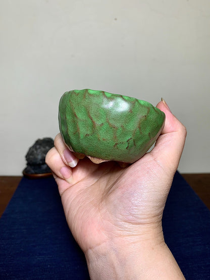 A hand holds a small, glossy green ceramic pot with brown crackle glaze patterns.