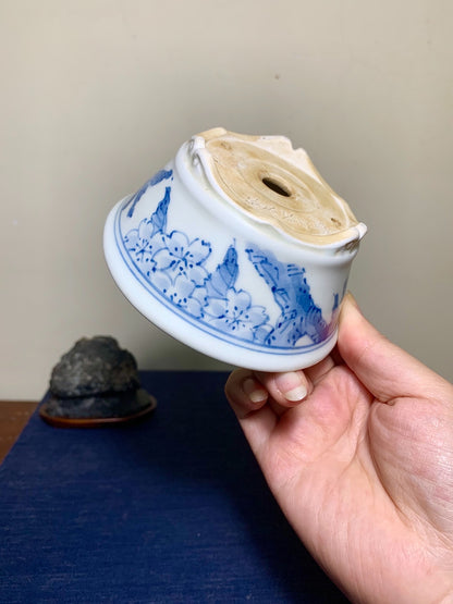 Matsuboto Matsushi Classic Blue-And-White Painted Butterfly Adores Flower Japanese Bonsai Pot