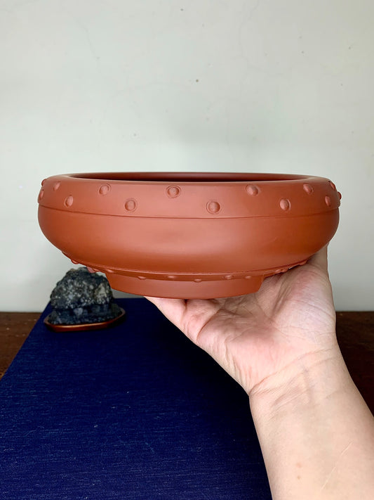 A hand holds a terracotta-colored, round bonsai pot with raised dots around its rim and base.