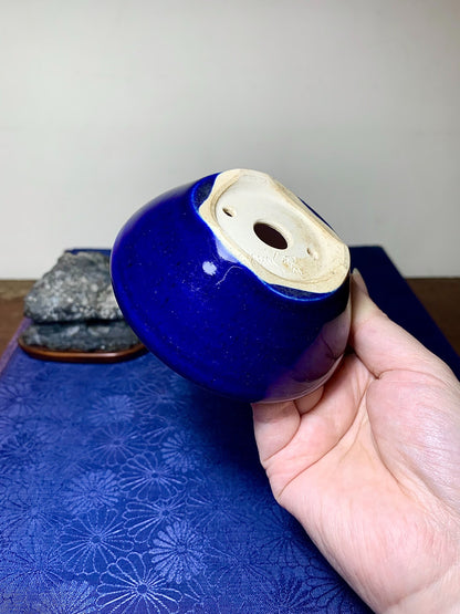 Ruri Glaze Round Pot by Mikata