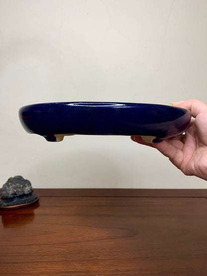 Sakai Tensan Ruri Glaze Oval Maple Tree Pot