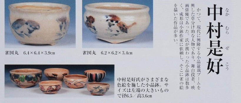 Nakamura Shō Rare Work Japanese Bonsai Pot