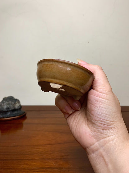 Soba Glaze Outer Rim Round Pot by Matsuzaka Miyama