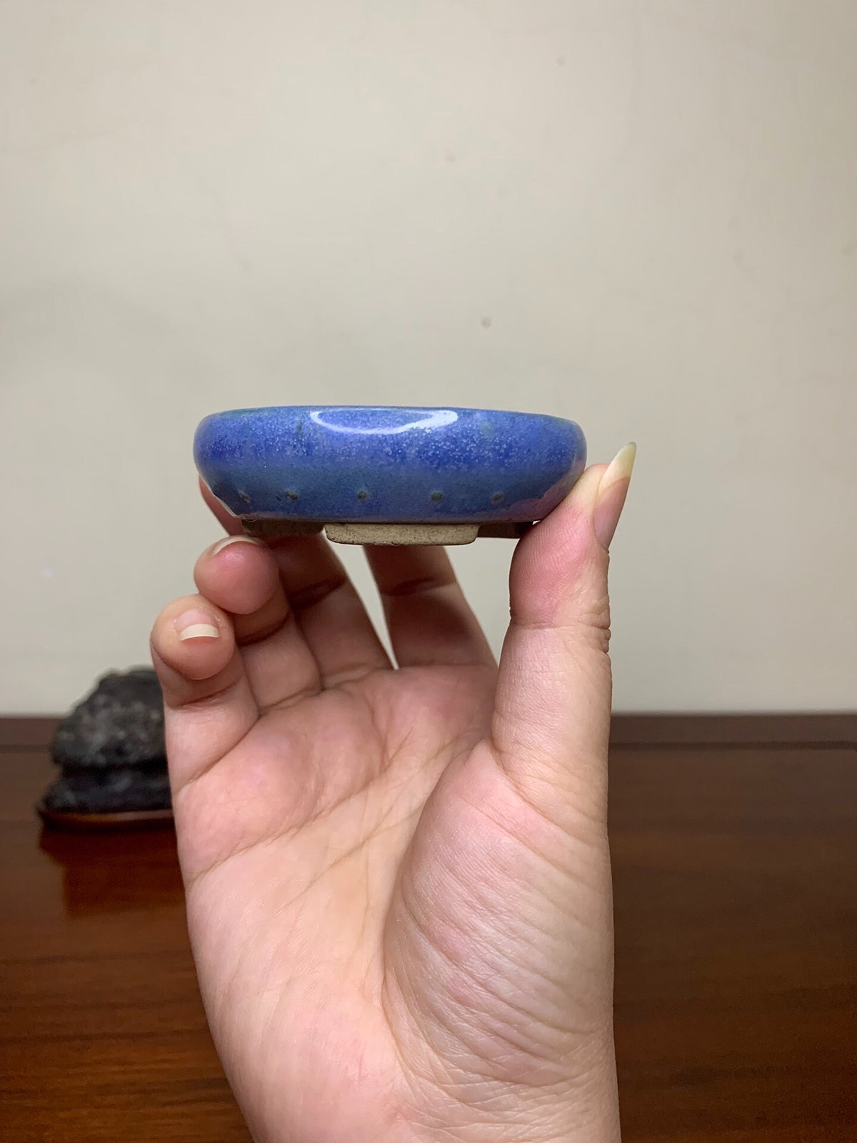 Shouetsu Kinyo Glaze Studded Japanese Pot