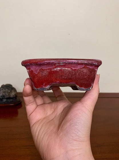 Echizen Bunsan Shinsha Copper-Red Glaze Kiln-Transmuted Outer Rim Rectangular Japanese Pot