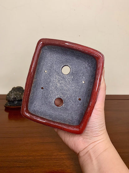 Echizen Bunsan Shinsha Copper-Red Glaze Kiln-Transmuted Outer Rim Rectangular Japanese Pot