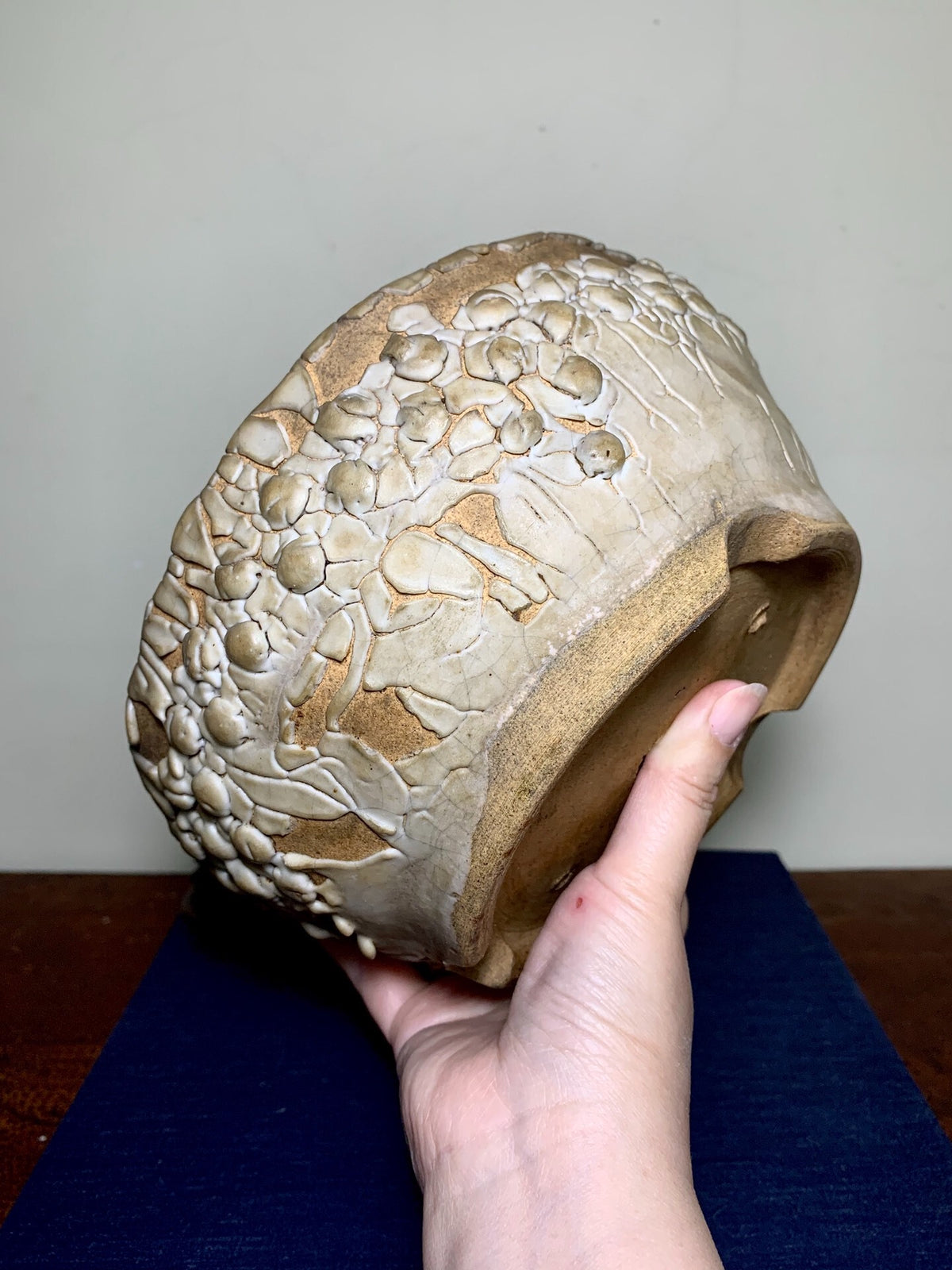 Classic Nashiji Pear-Skin Japanese Pot by Wazumi