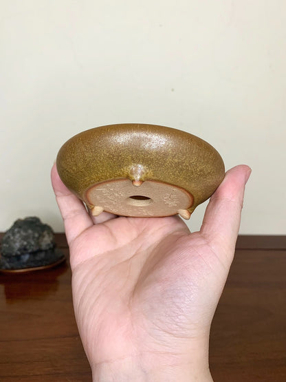 Soba Glaze, Cat-Footed Round Pot by Mikata
