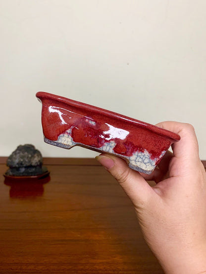A hand holds a glossy red glazed rectangular pot with white crackle pattern on its base.