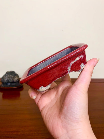 Echizen Bunsan Shinsha Copper-Red Glaze Kiln-Transmuted Rectangular Japanese Pot