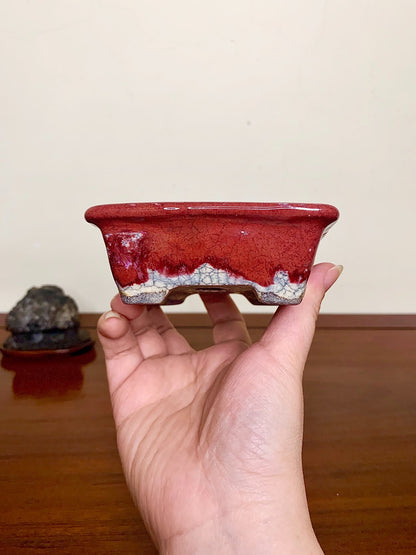 Echizen Bunsan Shinsha Copper-Red Glaze Kiln-Transmuted Rectangular Japanese Pot