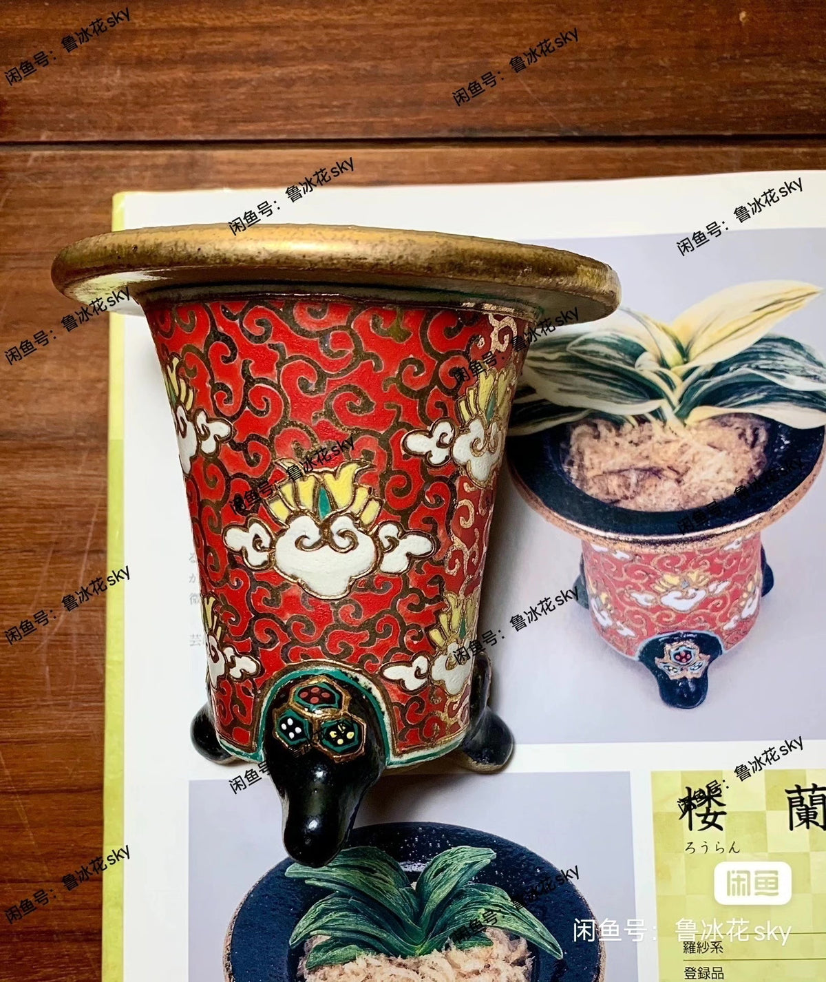 Hosshi Kakuei Rare Red Glaze with Tang Dynasty Grass and Auspicious Cloud Pattern, Red Brocade Pot